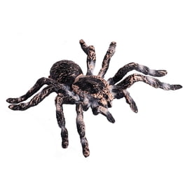 Imagenes De Animales Del Bosque Para Imprimir Animales Del Bosque