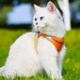 thumbnail image 1 of WHAMVOX Body Leash With Vest For Pet Orange Cloth Gentlemen Style 1 Set, 1 of 8
