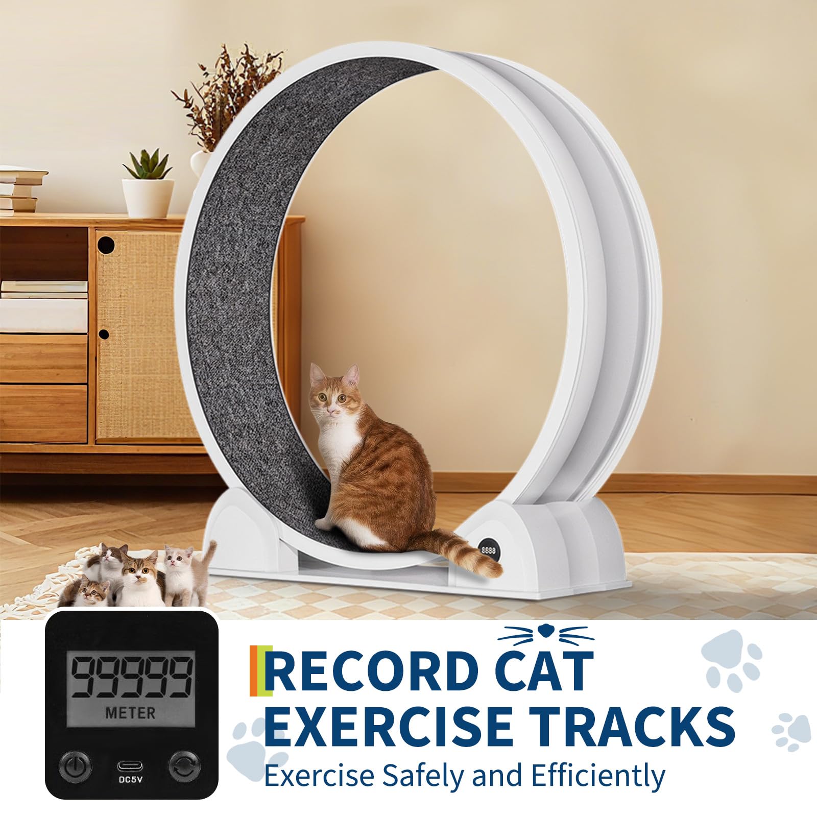 Cat Exercise Wheel for Indoor Cats, Fast Cat Wheel 45'' Quiet Cats Treadmill with Pedometer, Pet Running Wheels for Weight Loss and Health White