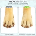 thumbnail image 4 of Tabla para rascar uñas para perros LIMENEST con 2 lijas adicionales, 4 of 8