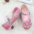 thumbnail image 3 of Girls Flats Sparkle Party Mary Jane Princess Dress Shoes Wedding Party Flower Shoes (Toddler/Little Kid/Big Kid), 3 of 12