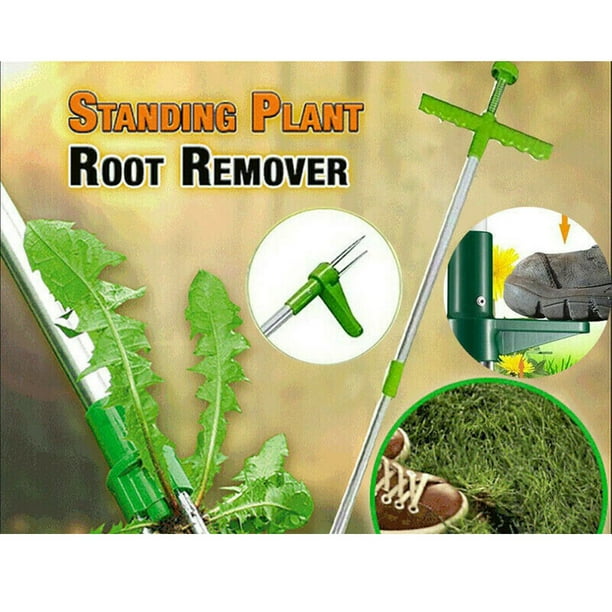 Standing root deals remover