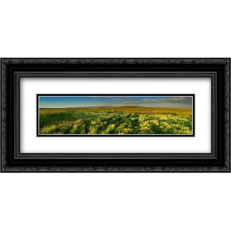 Grasslands, Arapaho National Wildlife Refuge, Colorado 2x Matted 24x12 Black Ornate Framed Art Print by Fitzharris, Tim