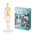 thumbnail image 1 of Amdohai Human Body Model Skeleton Simple Assembly Learning Tool Kit Anatomy Model Display STEM Educational, 1 of 6