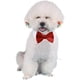 thumbnail image 2 of Piezas Mascotas Perro Gato Pajarita Disfraz de Mascota Corbata Formal Collar Ajustable para Gatos Perros Pequeños Cachorros Accesorios de Aseo (L), 2 of 4