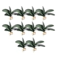 thumbnail image 1 of fastboy 10 Pieces Artificial Plants Leaves artificial Plastic Flowers Phalaenopsis Leaf Spring Micro Landscape For Ornaments Large Size, 1 of 5