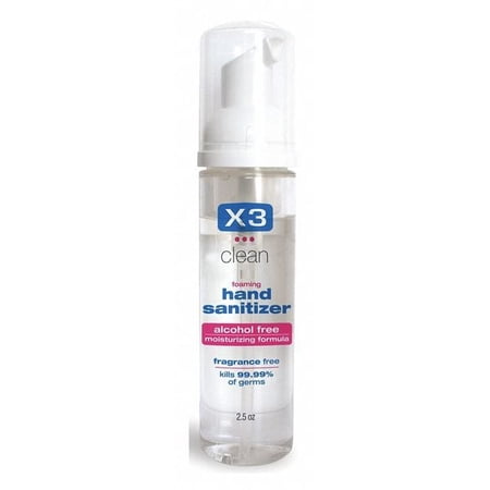 X3 Clean Hand Sanitizer,2.5 oz,Mild 10002