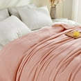 thumbnail image 4 of Gogreen Cozy Blanket Solid Blanket Twin Blanket - 300 GSM Fleece Blanket Twin Size Blanket for Home Decoration, Ultra Soft Blanket Microfiber Twin Blanket (Twin - 60" x 80"), 4 of 8