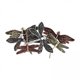 thumbnail image 1 of Horquillas de Libélula Strade Fareast Limited 6 Piezas Vintage, 1 of 6