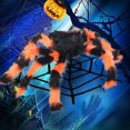thumbnail image 4 of ¡Autorización! ¡Decoraciones de Halloween! Suministros de decoración de Casa Encantada de araña de simulación de felpa de Halloween juguetes difíciles compre 2 y obtenga 3, 4 of 4