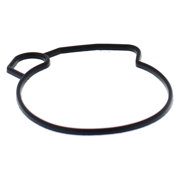 All Balls Float Bowl Gasket Only Kit (46-5001) for Can-Am DS 50 02-06, DS 90 2 STROKE 02-06, Quest 50 03, Polaris Predator 90 03, Scrambler 50 01-02, Scrambler 90 01-03, Sportsman 90 01-03