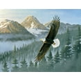 thumbnail image 2 of Goebel, Wilhelm 24x20 Black Ornate Wood Framed with Double Matting Museum Art Print Titled - Soaring Eagle, 2 of 4
