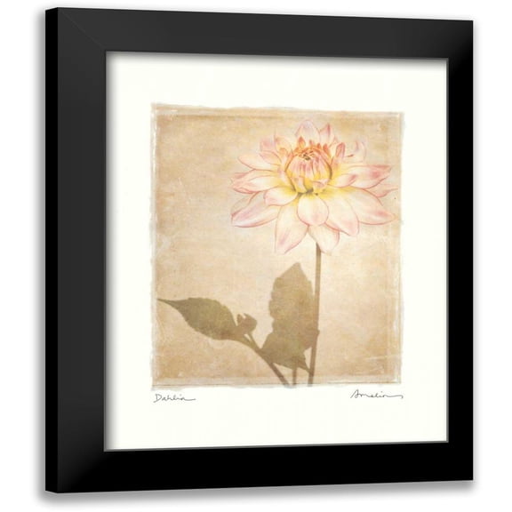 Melious, Amy 12x14 Black Modern Framed Museum Art Print Titled - Dahlia