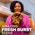 thumbnail image 4 of ARM & HAMMER Plus OxiClean Odor Blasters 5-in-1 Laundry Detergent Power Paks, Fresh Burst, 42 Ct, 4 of 15