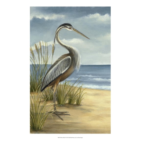Art.com Shore Bird I Art Print by Ethan Harper, 12" x 18"