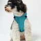 thumbnail image 4 of Impermeable ligero y transpirable Methold para perros gris SG, 4 of 6
