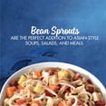 La Choy Bean Sprouts, 14 Ounce