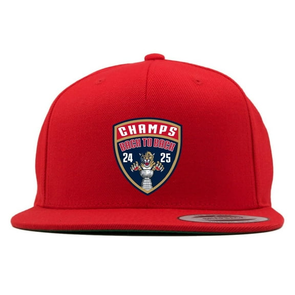 Snapback Panthers 2025 Champions Back 2 Back Hat