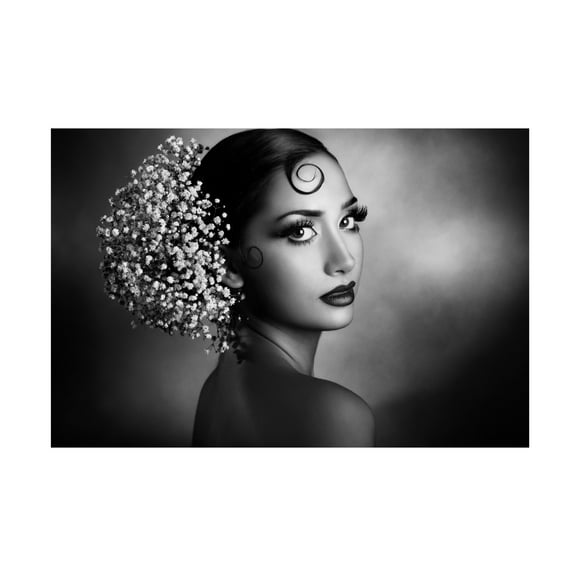 Canvas Wall Art - Peppe Tambe 'Nature' Wall Art for Living Room, Bedroom, or Office Décor by Trademark Fine Art - 19 x 12 Inches