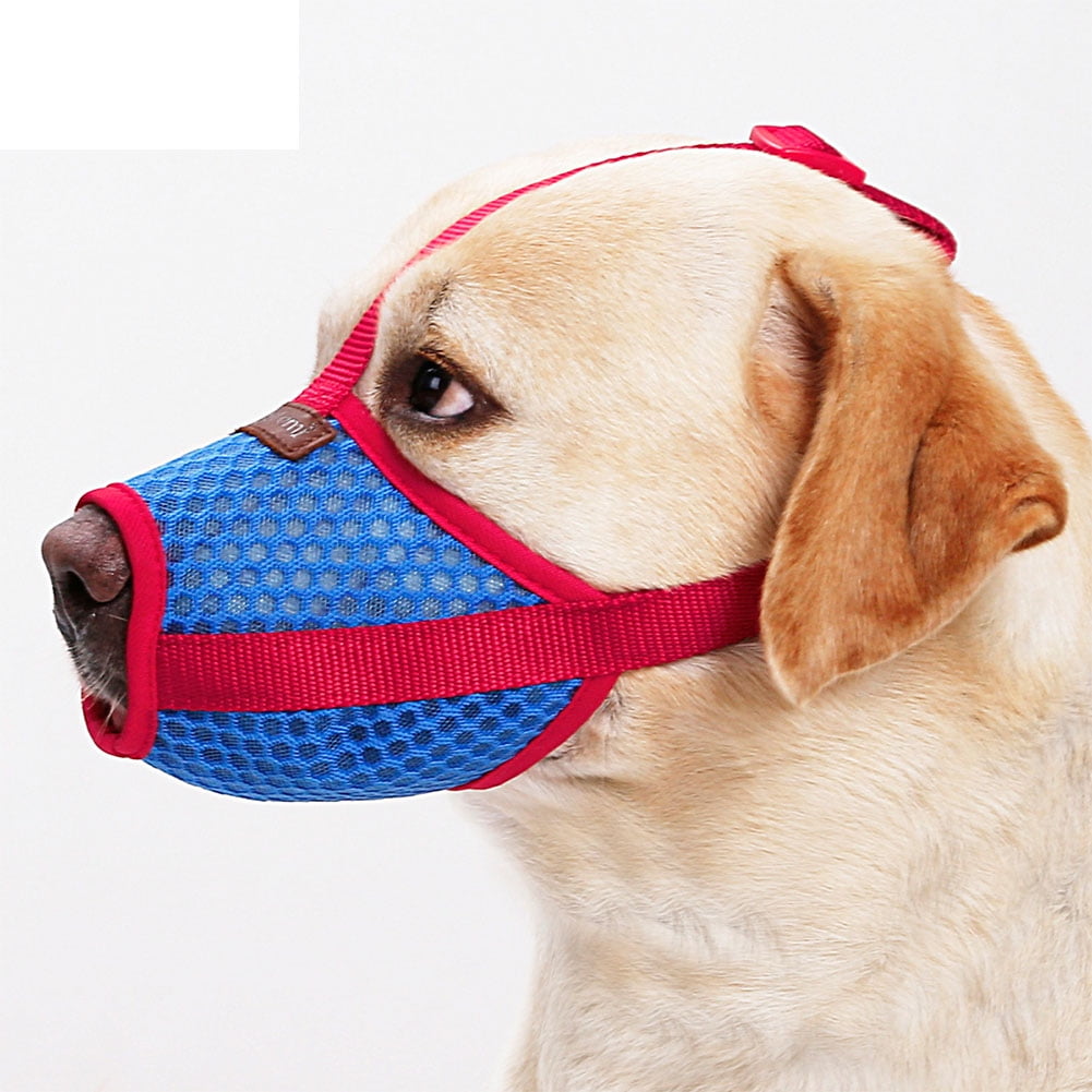 dog muzzle for biting