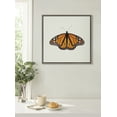 thumbnail image 6 of Kate and Laurel Sylvie Monarch Butterfly Framed Linen Textured Canvas Wall Art by Robert Cadloff of Bomobob, 22x22 Gray, Decorative Nature Art for Wall, 6 of 7