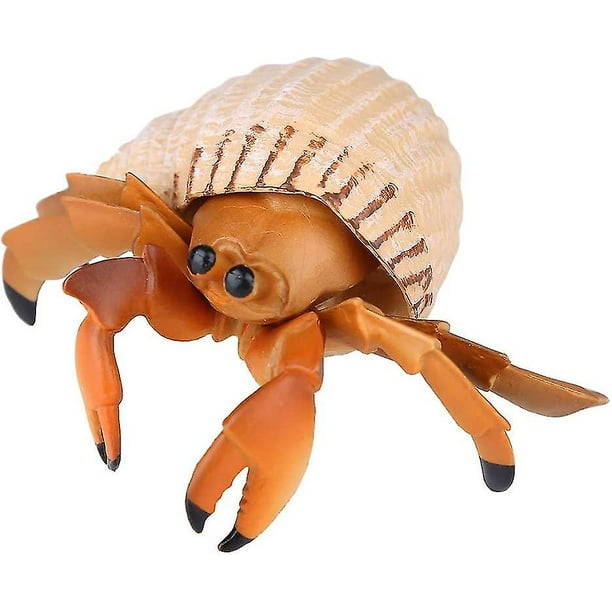 Hermit Crab Toy Safe Educational Simulation Marine Biological Model Animal Hermit Crab Toys