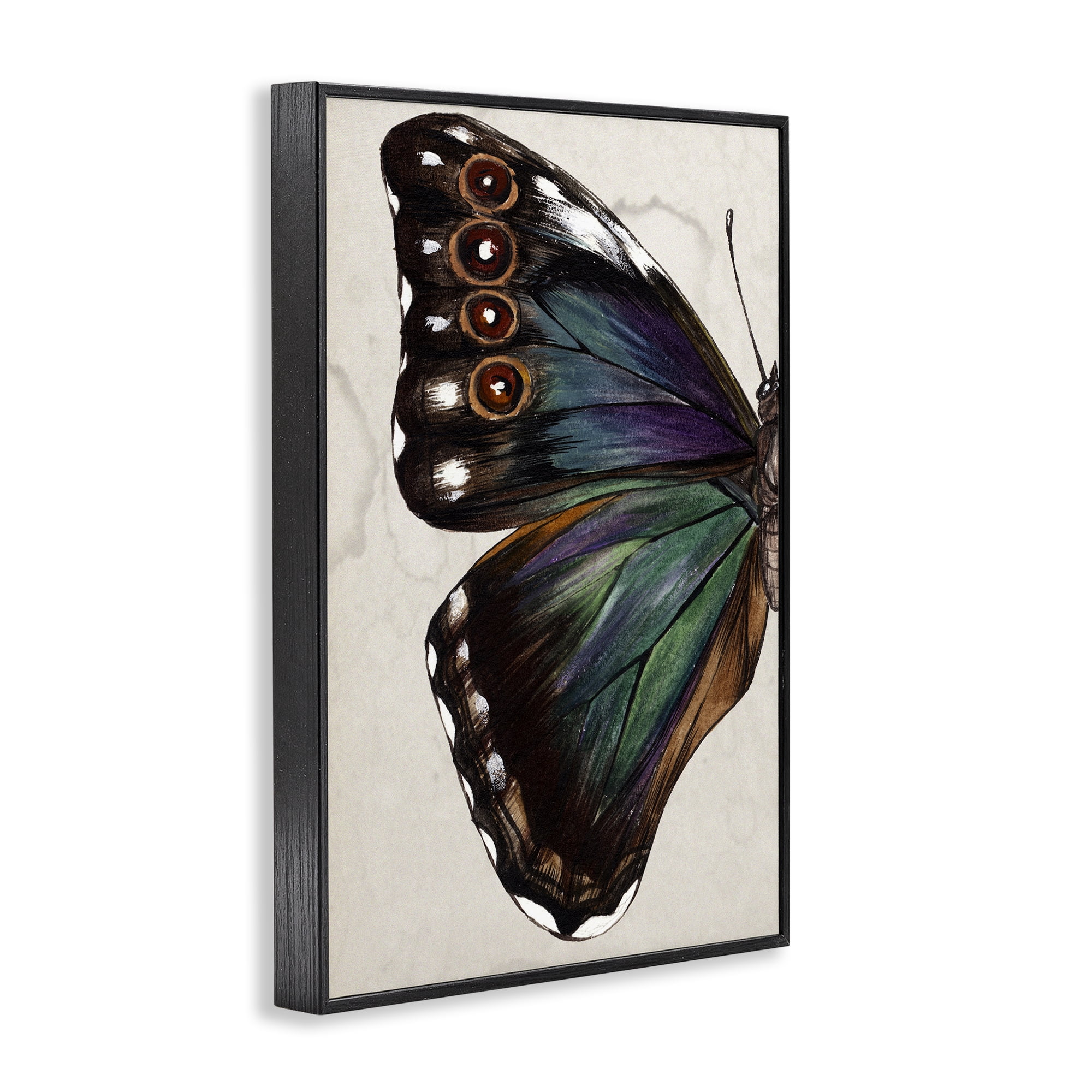 Stupell Industries Traditional Butterfly Wing Animals & Insects Painting Black Framed Art Print Wall Art, 16 x 24
