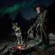 thumbnail image 4 of Rechargeable LED Pet Collar with Waterproof Design and Color-Changing Lights for Enhanced Visibility, 4 of 5