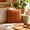 💖 Orange_Base#194, variant on 18x18 Inch Solid Color Soft Pile Throw Pillow Cover Textured Square Cushion Cover for Sofa and Living Room Decor
