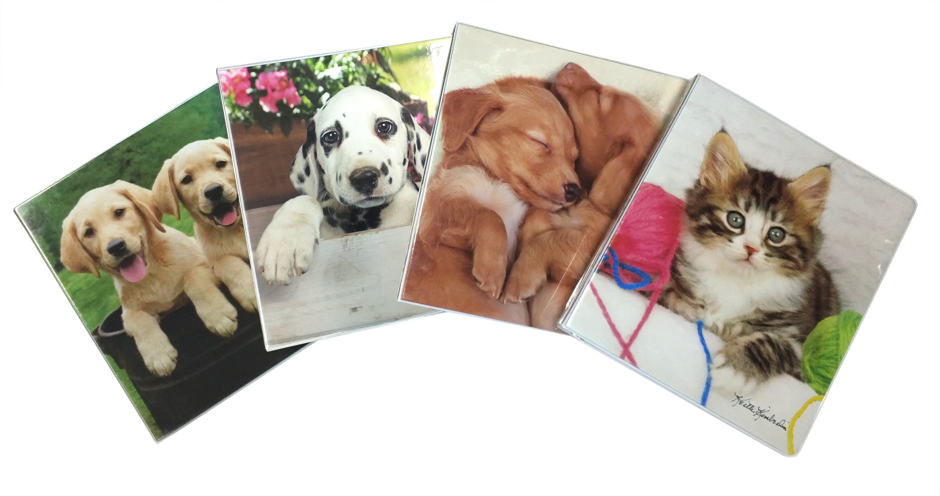 Keith Kimberlin 1" Vinyl Puppies and Kitten Fashion Binder - Walmart.com