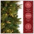thumbnail image 6 of National Tree Company 12 ft Pre-Lit Carolina Pine Slim Artificial Christmas Tree, 1,000 Clear Lights, 1,900 Tips, Includes Stand, Green, 6 of 8