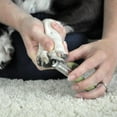 thumbnail image 6 of Coastal - Safari - Guillotine Dog Nail Trimmer, No Color, Small (5" L x 3" W), 6 of 6