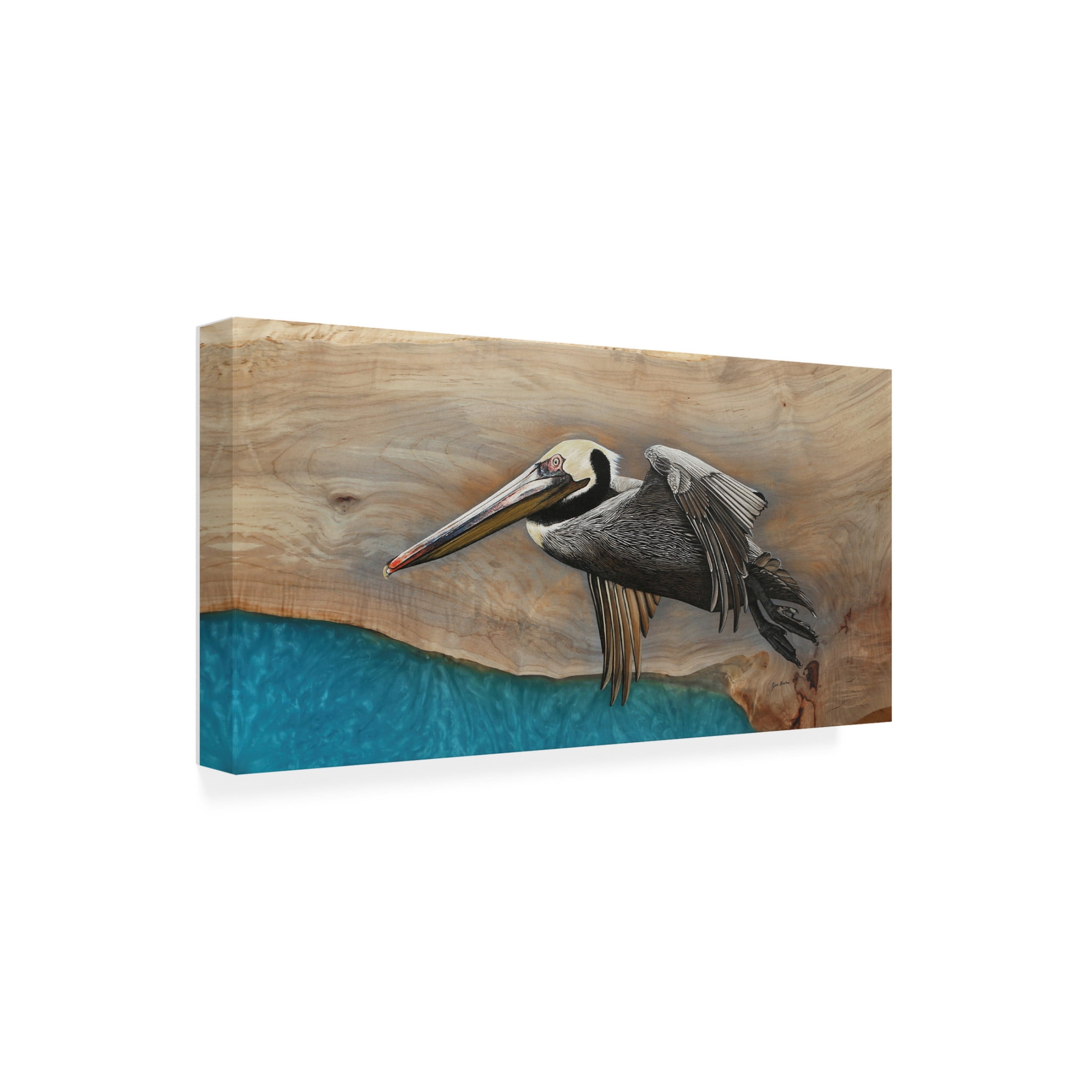 Canvas Wall Art - Jim Brune 'Pelican Over Turquoise Water' Wall Art for Living Room, Bedroom, or Office Décor by Trademark Fine Art - 32 x 16 Inches