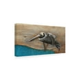 thumbnail image 3 of Canvas Wall Art - Jim Brune 'Pelican Over Turquoise Water' Wall Art for Living Room, Bedroom, or Office Décor by Trademark Fine Art - 32 x 16 Inches, 3 of 4
