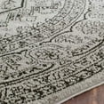 thumbnail image 2 of Safavieh Adirondack Silver Area Rug - 10' x 14', 2 of 2