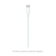 thumbnail image 4 of Adaptador Apple USB-C de 20 W, 4 of 4