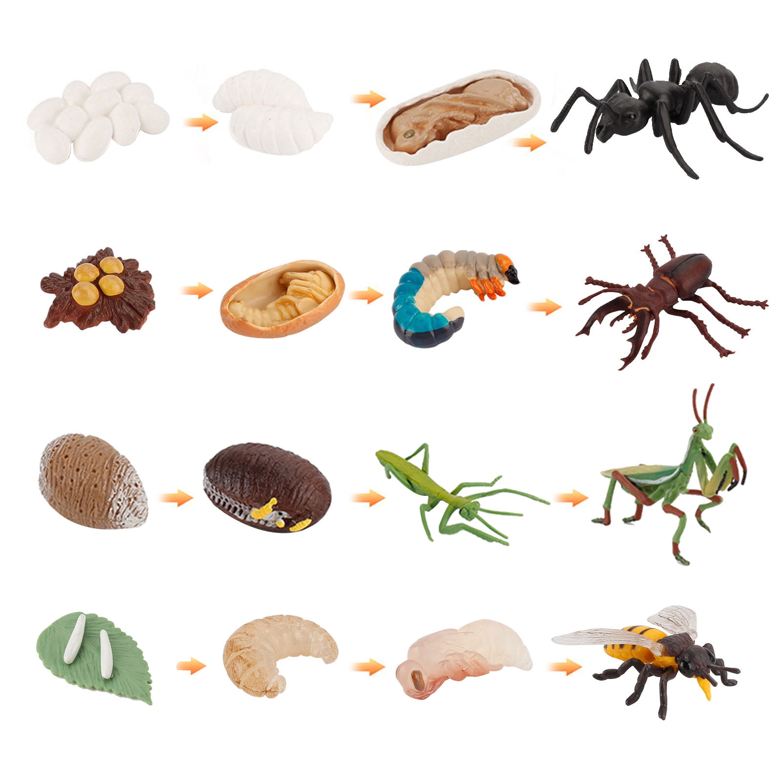 16pcs Life Cycle Stagworm Bee Mantis Ant Figures Toy Kit Figurines PVC |  Walmart Canada