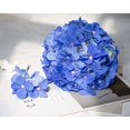 thumbnail image 5 of Silk Hydrangea Artificial Flowers Heads with Stems for Wedding Home Decor Pack of 6 (Purple), 5 of 5