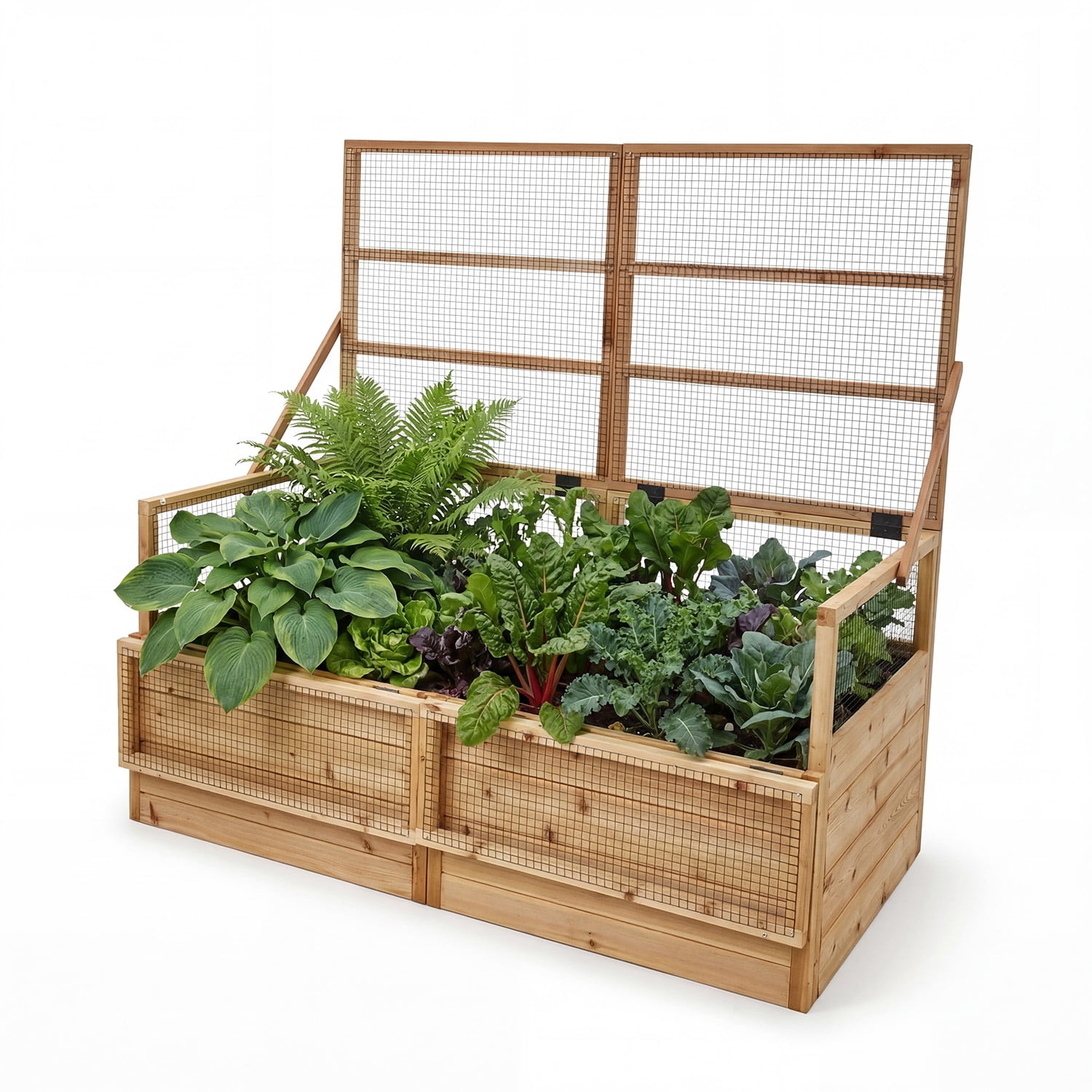 Outdoor Living Today Raised Garden Bed with Mini Greenhouse Western Red Cedar 6x3 1-Pack