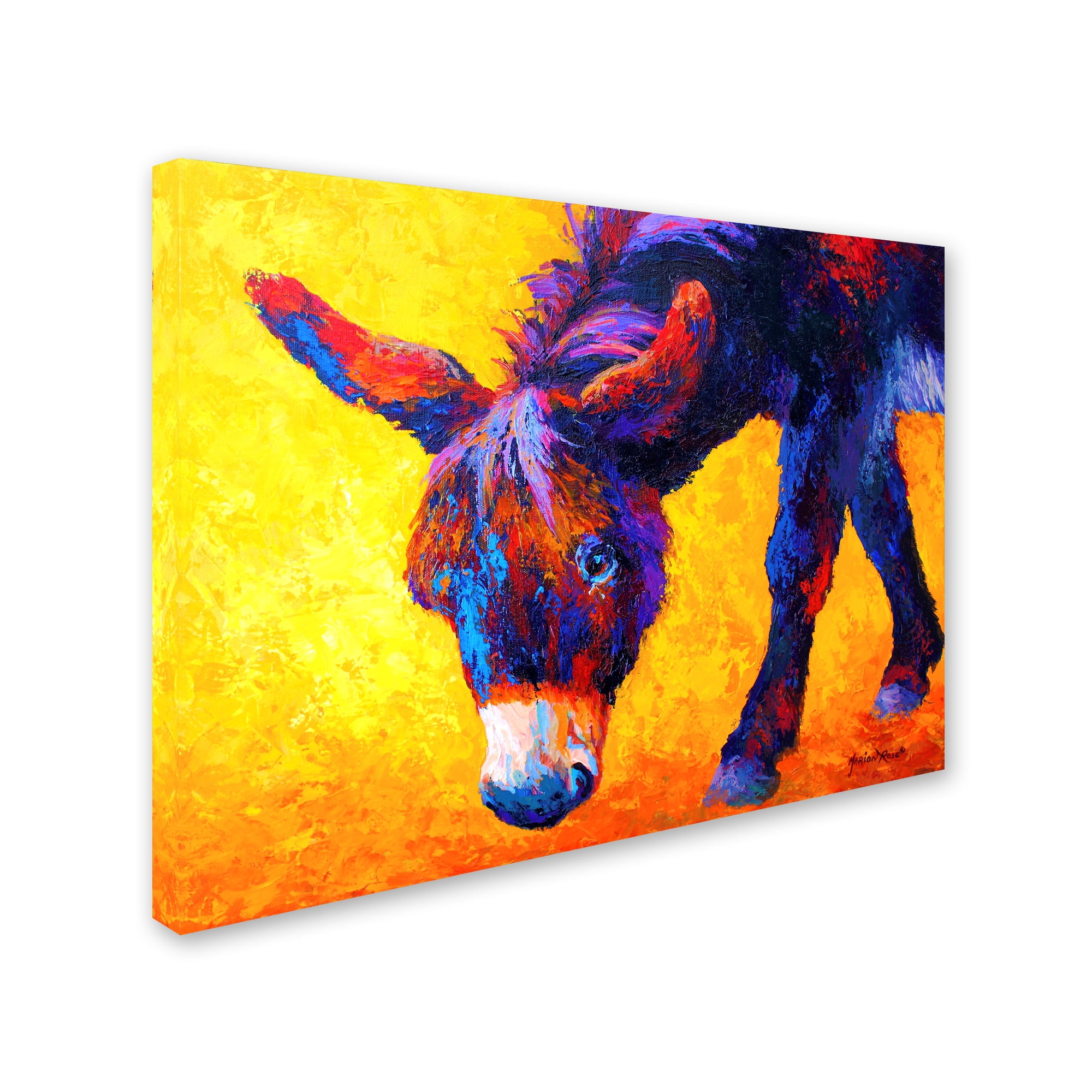 Donkey II' Canvas Art by Marion Rose