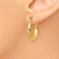 thumbnail image 3 of Primal Gold 14 Karat Yellow Gold Hoop Earrings, 3 of 6