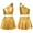 A Gold, variant on iiniim Girls Cheerleading Costumes Crop Top with Pleated Skirt Shiny Jazz Hip Hop Performance 3-14 A Gold 13-14