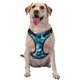 thumbnail image 1 of Fotbe Blue Kyanite Arnés para Perro con Estampado –Chaleco Ajustable Acolchado con Asa de Control para Perros Grandes-Small, 1 of 6