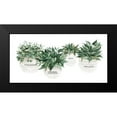 thumbnail image 2 of Jacobs, Cindy 24x14 Black Modern Framed Museum Art Print Titled - Remember Your Roots, 2 of 5