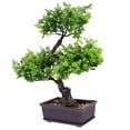 thumbnail image 3 of MasteelfCA Artificial Potted Plants Desktop Faux Potted Plants Bonsai Ornament for Home, 3 of 7