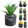 thumbnail image 2 of Coofit Artificial Succulent Mini Plastic Decorative Artificial Plant Fake Plant, 2 of 6