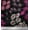 Black, variant on Soimoi Cotton Duck Fabric Artistic Flower Print Fabric by the Yard 42 Inch Wide