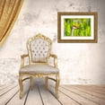 thumbnail image 3 of Jaynes Gallery 14x11 Gold Ornate Wood Framed with Double Matting Museum Art Print Titled - Florida-Orlando Wetlands Park Sandhill crane adult in blooming pickerel weed, 3 of 4