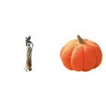 thumbnail image 1 of Figura de mujer africana,Estatua artesanal de una dama tribal africana,hecha a mano,para cafetería.,Almohadas de calabaza de Halloween,Cojines de calabaza de Halloween,suaves,para decoración, 1 of 8