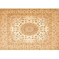 thumbnail image 1 of Ahgly Company Indoor Rectangle Persian Orange Traditional Area Rugs, 2' x 3', 1 of 1